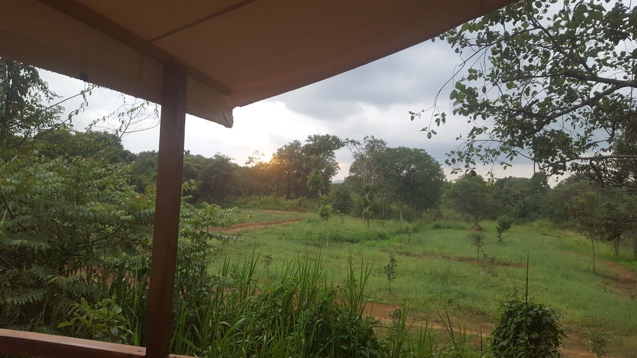 Asharo Sigiriya Villa Luaran gambar