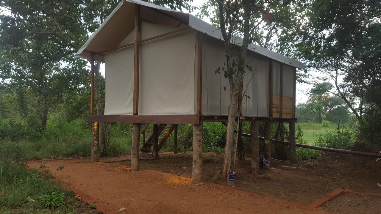 Asharo Sigiriya Villa Luaran gambar